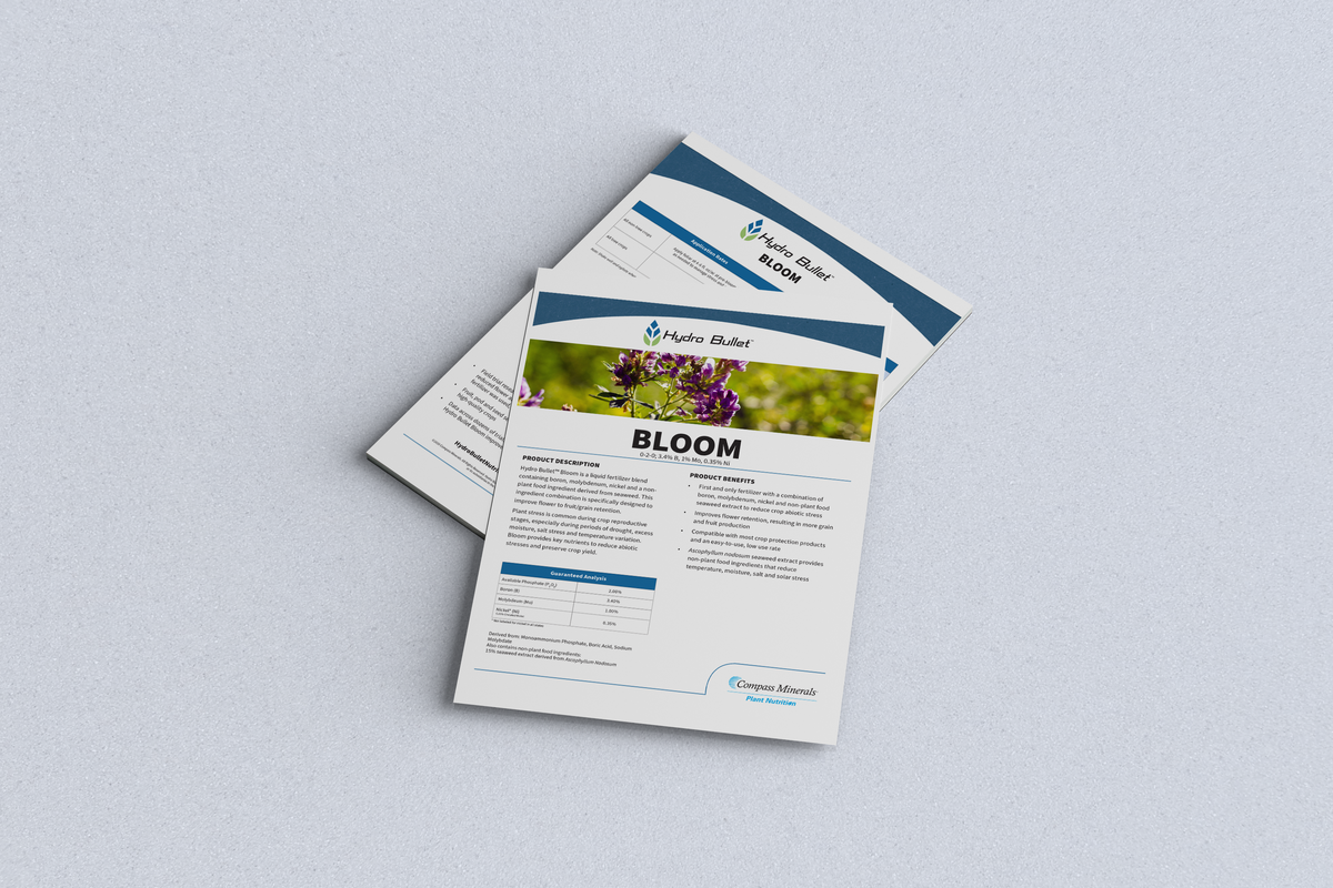 BloomFLYER-