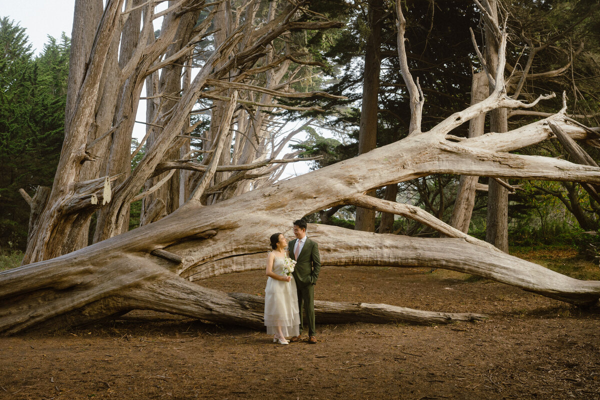 Megan_Andre_Half_Moon_Bay_Engagement-003