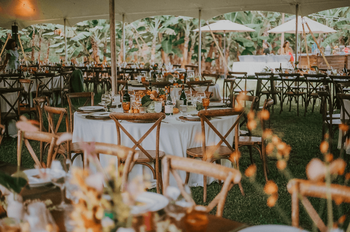 Screenshot 2025-11-20 at 12.16.07 PM