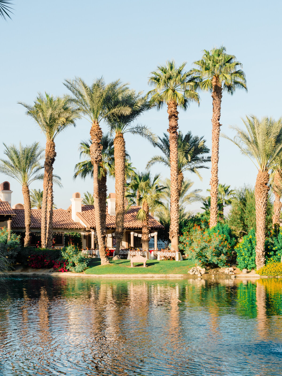 bougainvilla-estate-indio-palm-tree-reflection.jpg
