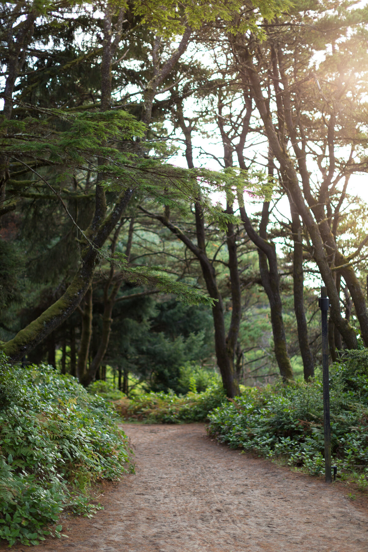 camp westwind oregon