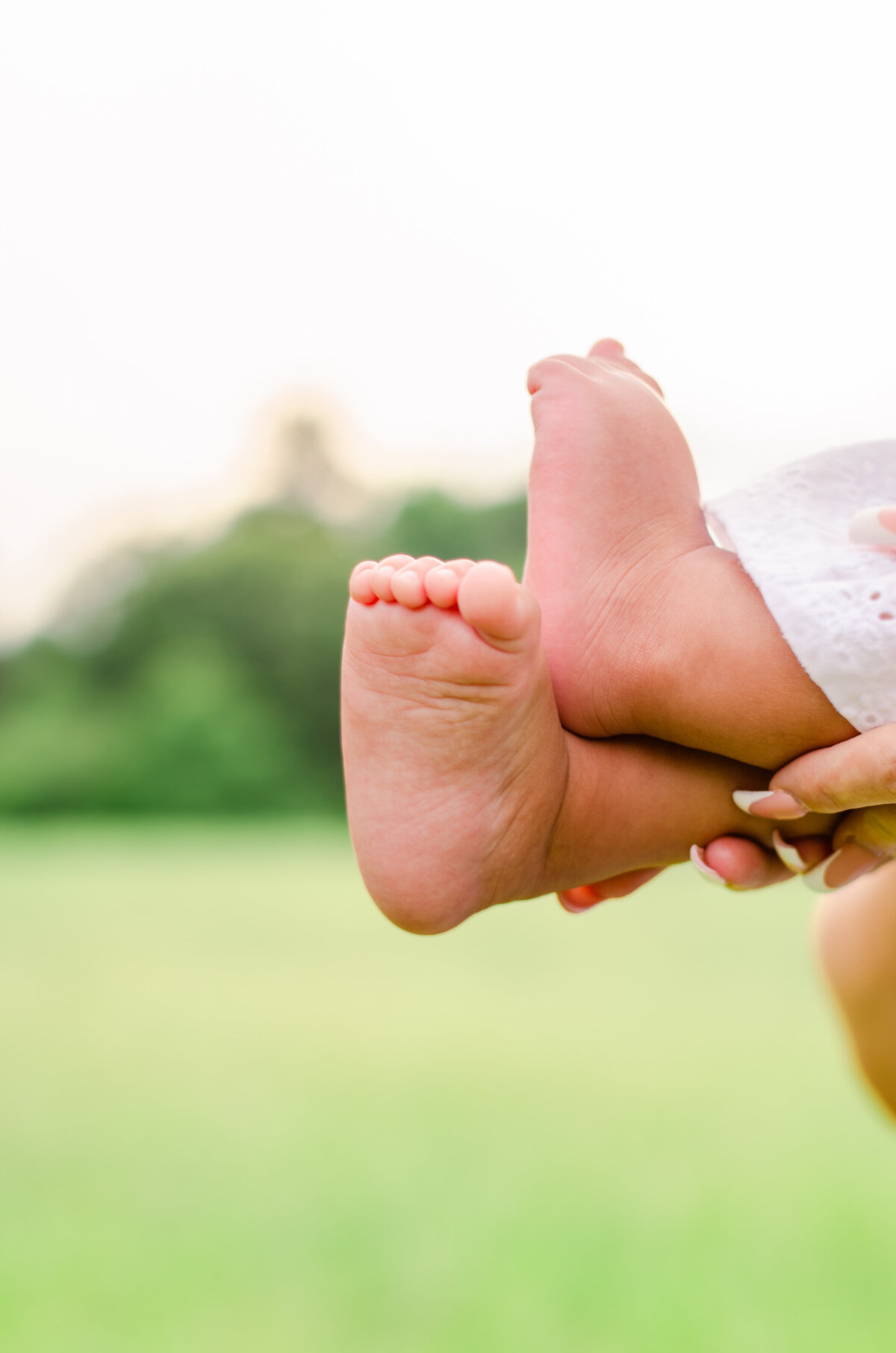 close up of baby feet during a family session