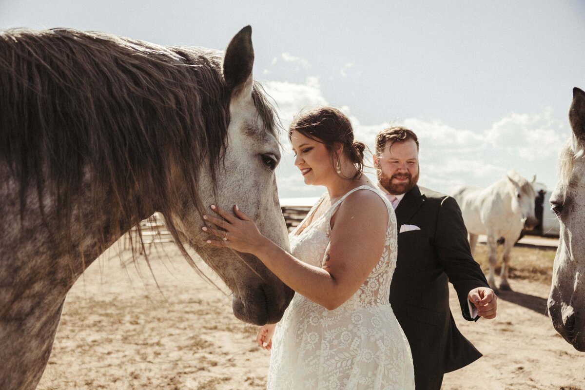 Wilder Photography- Hannah and Adam Horsing Around-35