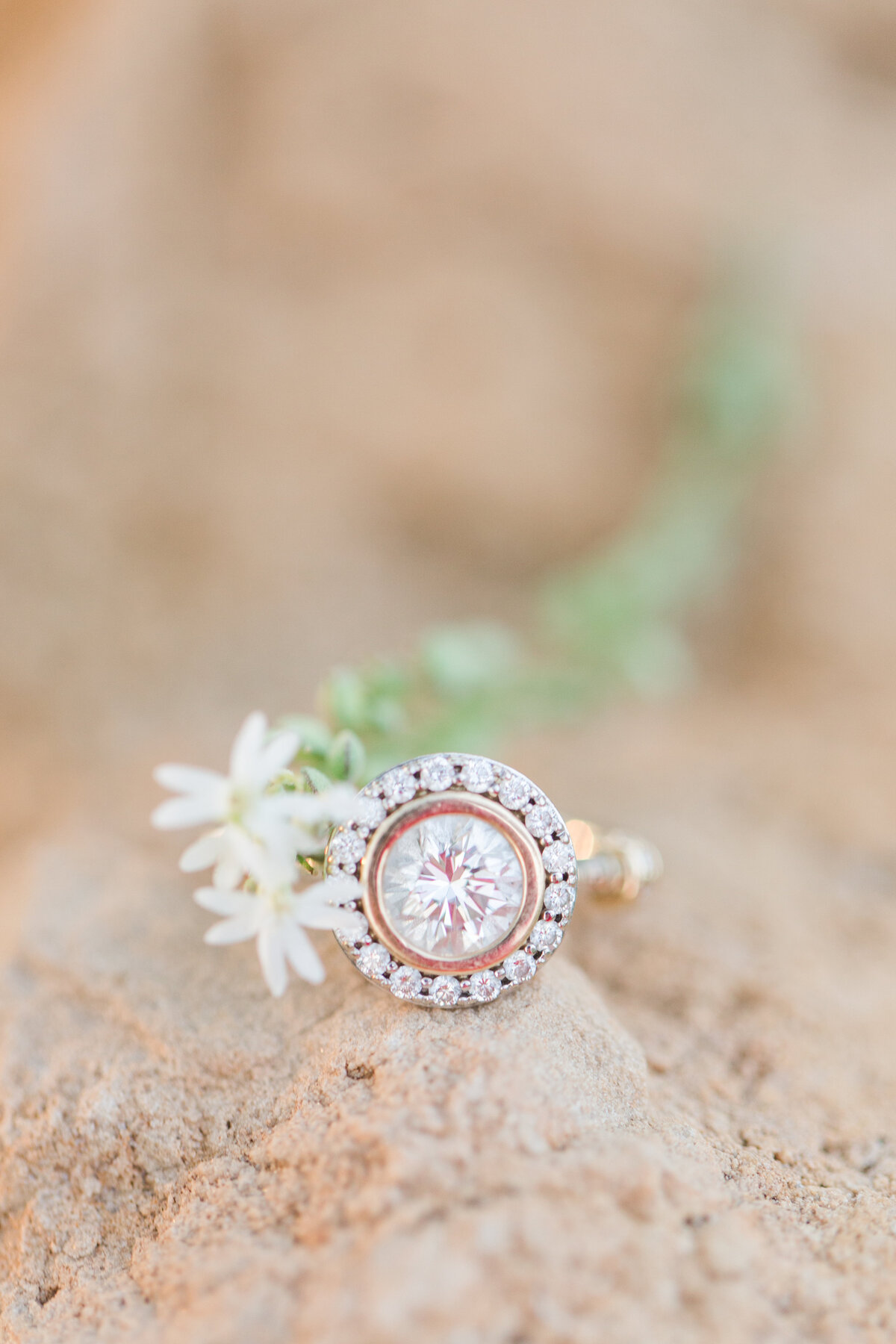 Alisha Marie Photography Eau Claire Wisconsin Wedding Engagement Senior Photography Photographer Authentic Joyful Fun Senior Rep Team Western WI Wi Minneapolis Twin Cities Minnesota Weddings Light Airy Colorful Bright10