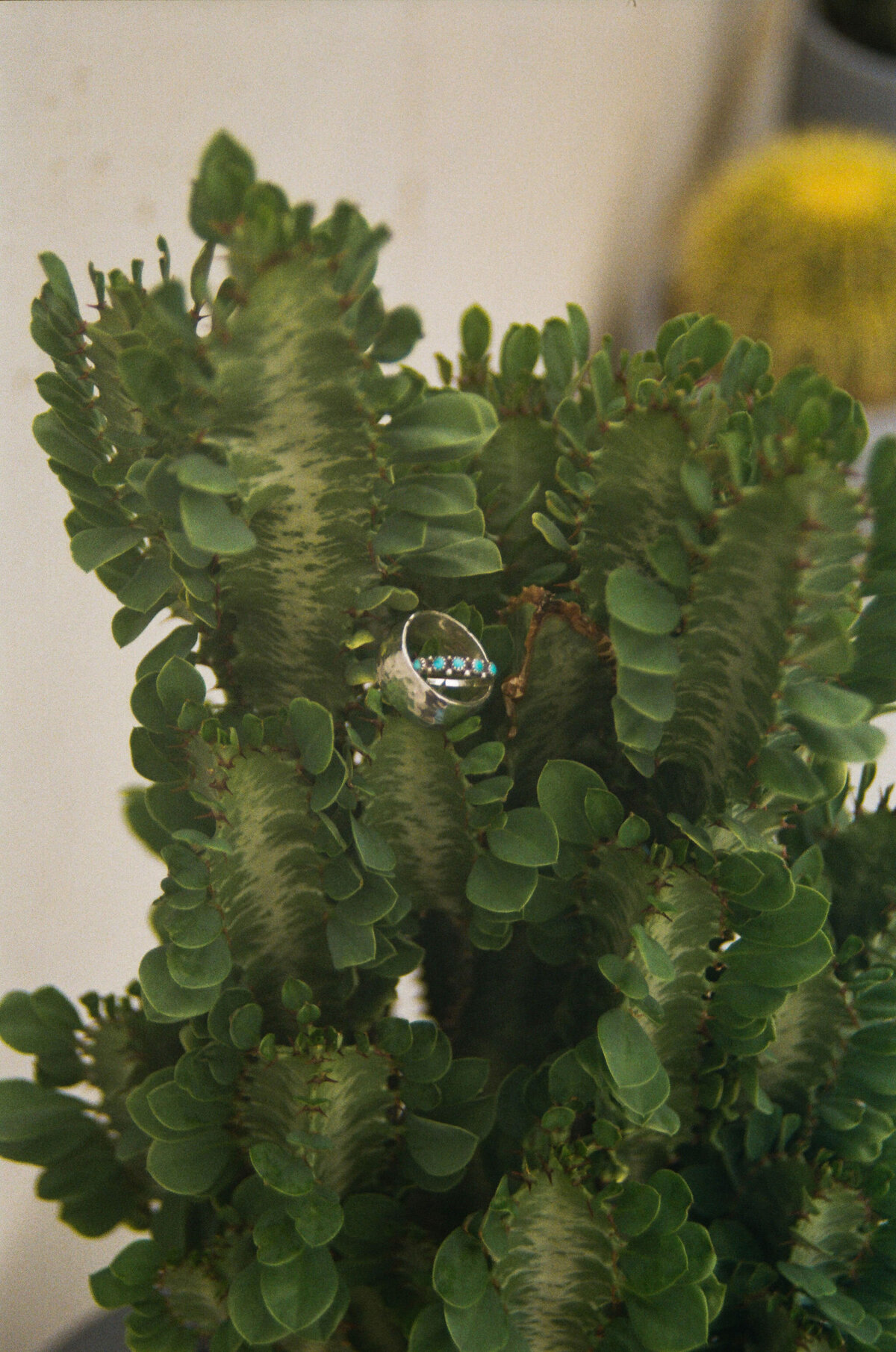 Josh+ElianaDetails-28