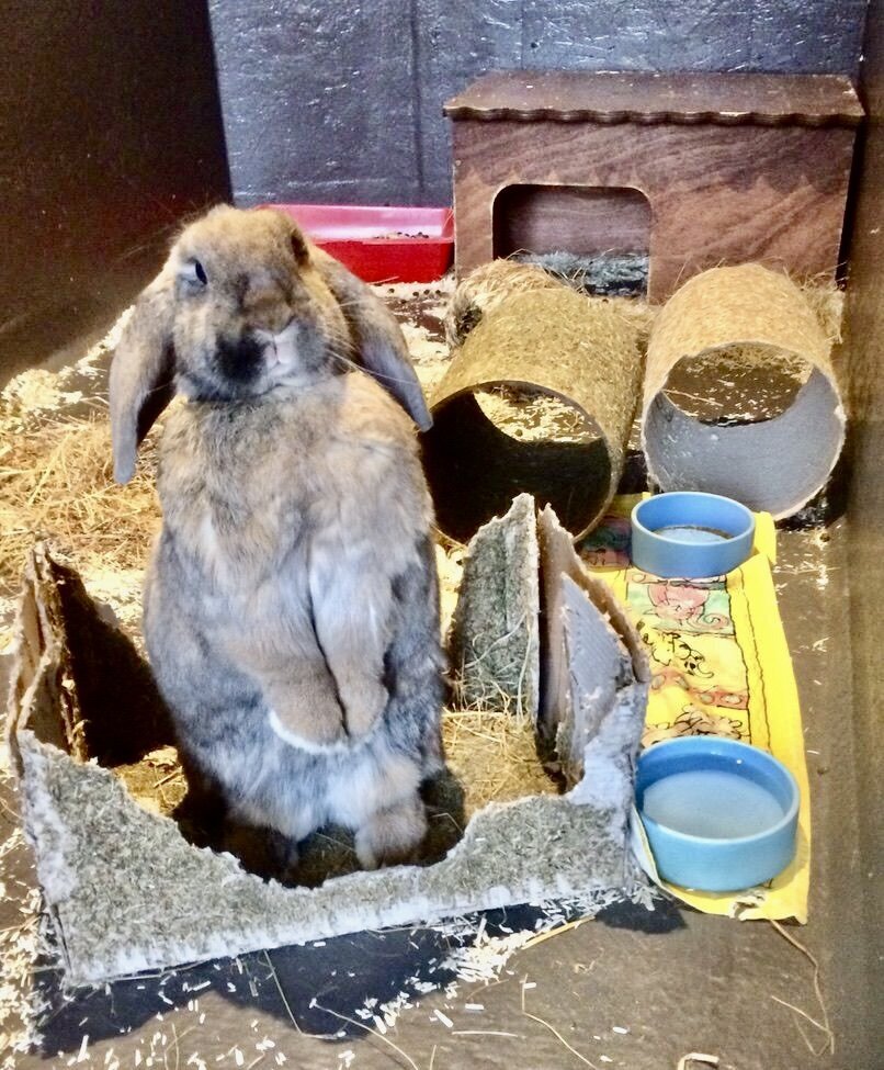 WhatsApp Image 2025-10-17 at 11.39.32 3