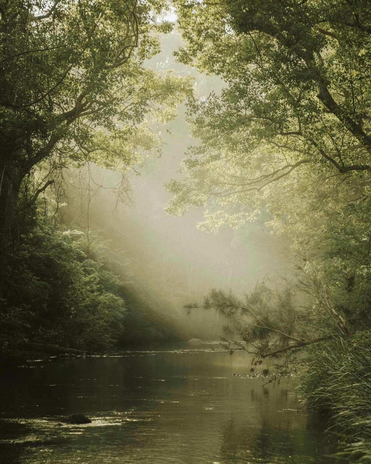 105_morning fog_helloemilie