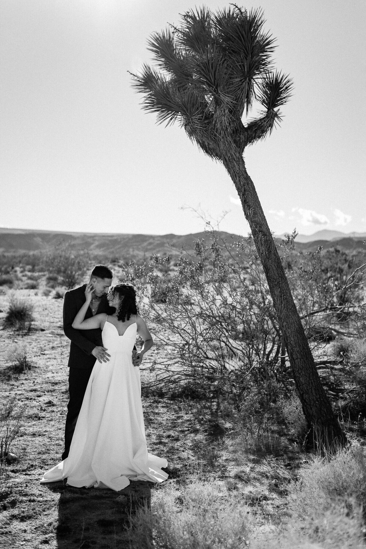 mkphotography_joshuatreeelopement_web-11