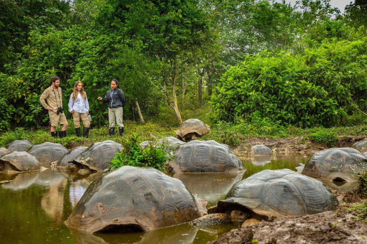 Waterstone - Finch Bay Galapagos Hotel - Santa Cruz Island - Galapagos - Ecuador - Luxury Boutique Hotel - Experience Finch Bay Galapagos-2 Large