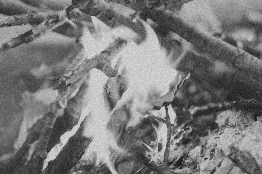 Close-up of a roaring fire with vibrant flames and glowing embers, symbolizing the transformative power of the PAST Directional Calling in CPTSD Medicine—burning away old patterns, releasing past burdens, and igniting the energy of creative renewal.