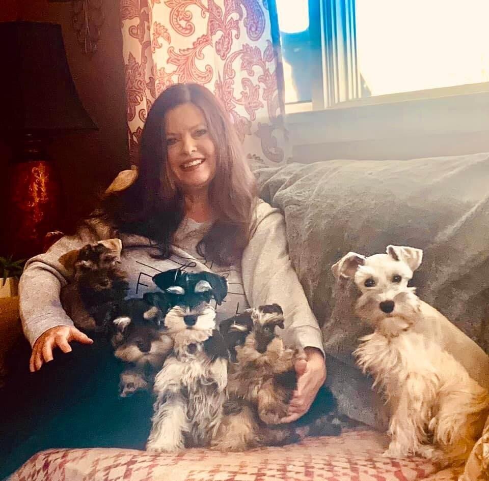 Mini Schnauzer breeder in Blountville, TN. Puppies for sale