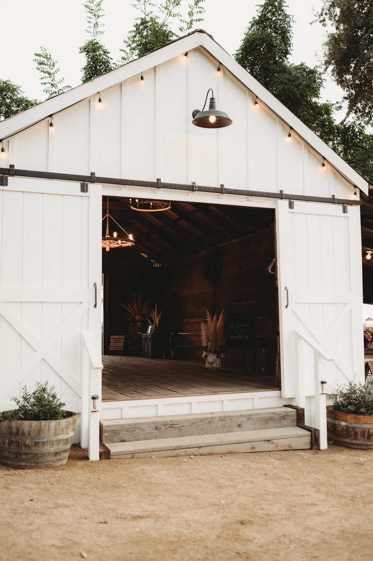Lambert Wedding-587