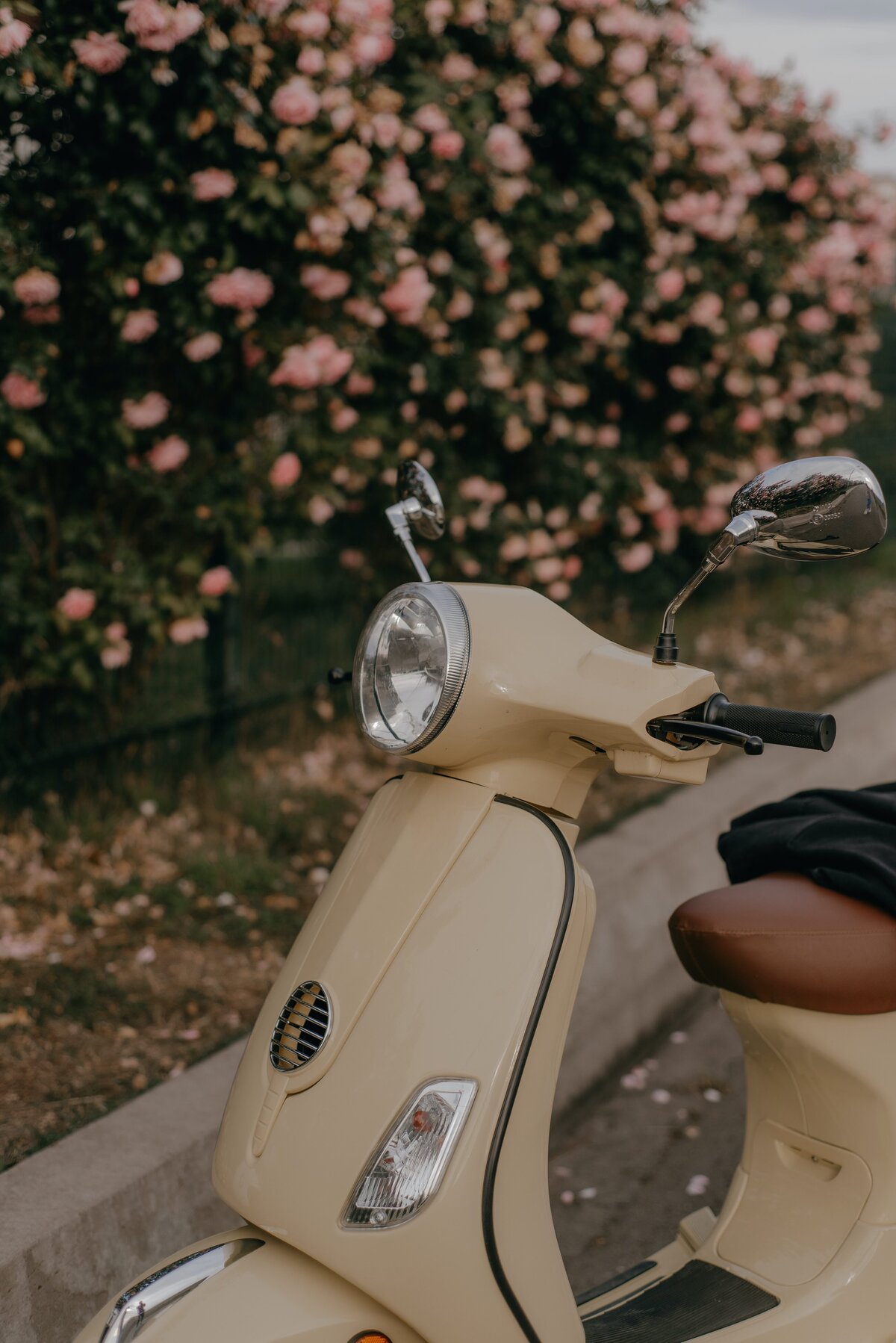pexels-roman-odintsov-8514232