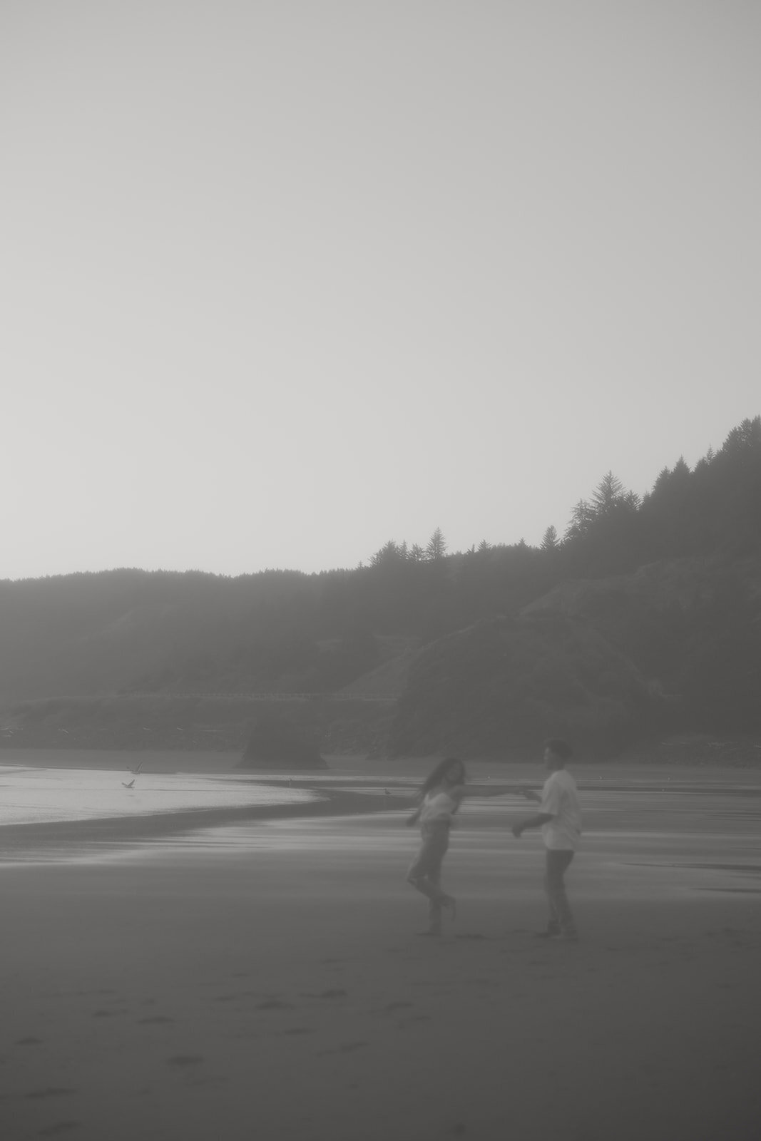 tanya-davids-photo-film-redwoods-california-oregon-coast-documentary-candid-destination-washington-idaho-utah-canada-elopement-wedding-couples-photographer-39