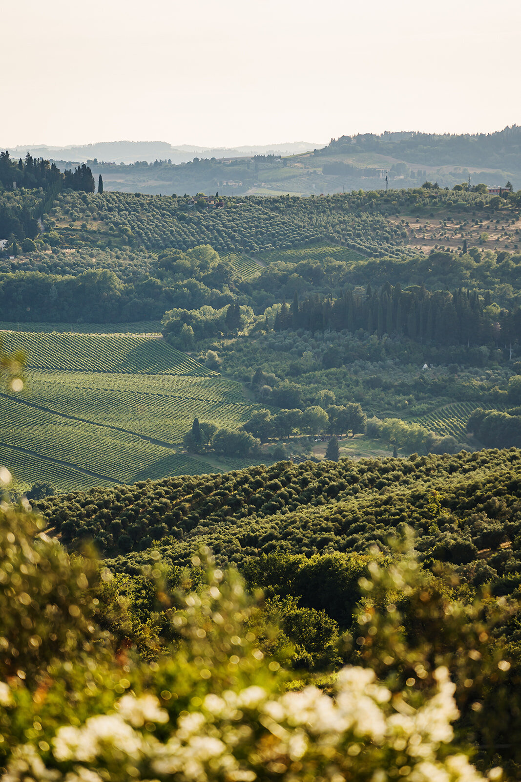 destination-wedding-tuscany-villa-il-poggiale-film-35mm145