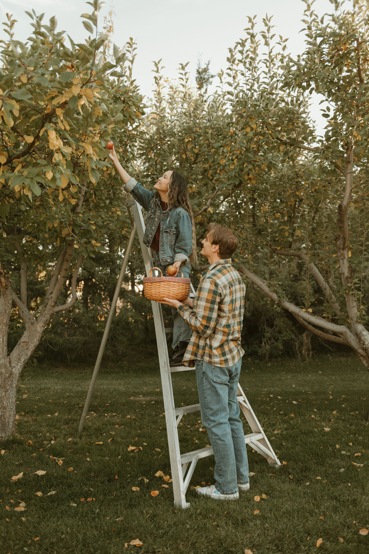 appleorchards-45