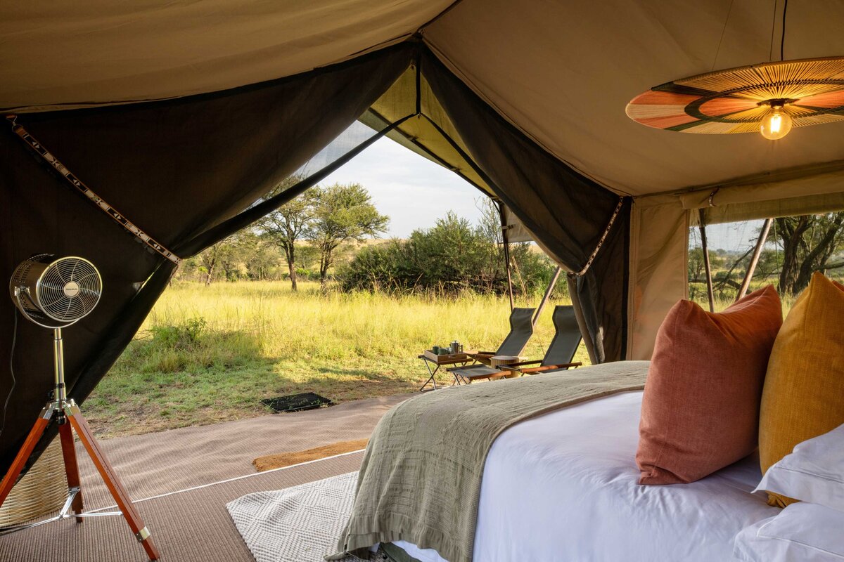 TAASA Migration Camp - Tent interiors (15)