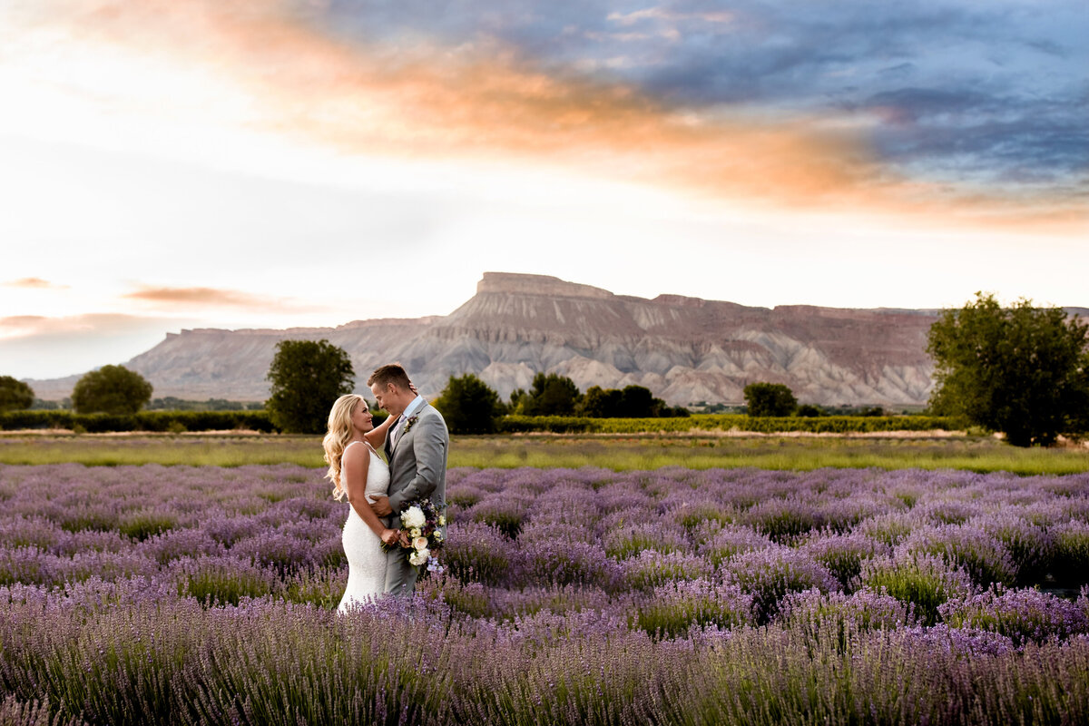 lavender-fields-palisade-colorado-wedding-photos