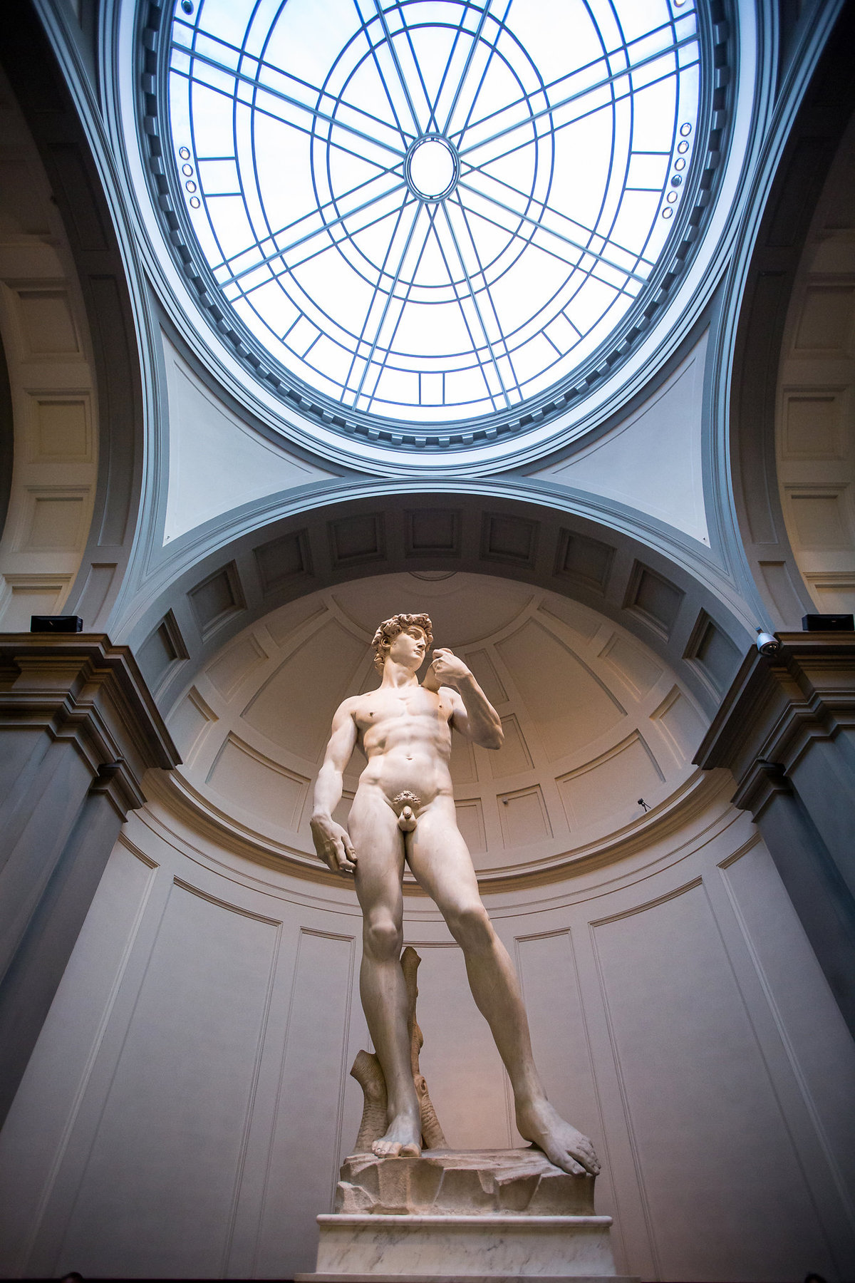 statue of david, florence italy, gwyne gray