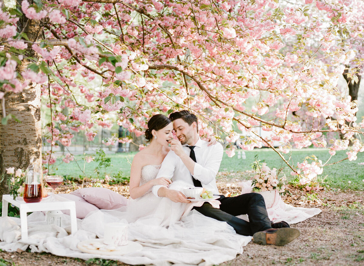 NYC_ELOPEMENT_WITH_PICNIC_IN_CENTRAL_PARK-278_websize
