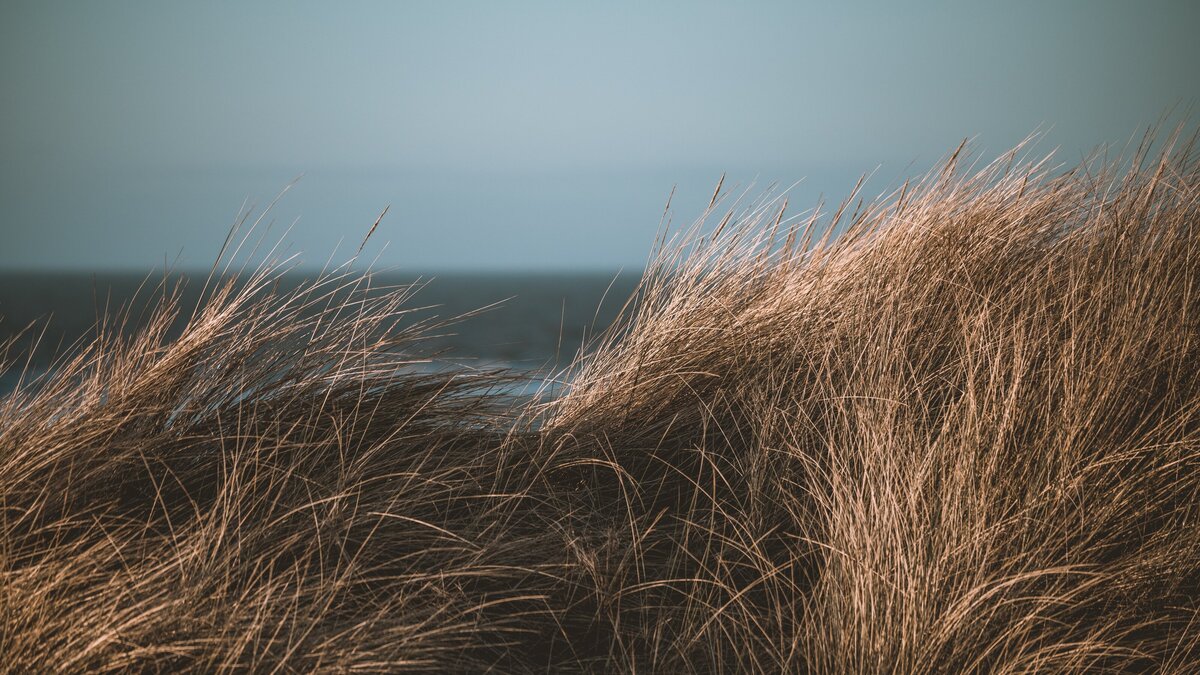Strand auf der Halbinsel Darß Prerow mit Sand, Dünen und weitem Blick auf die Ostsee.