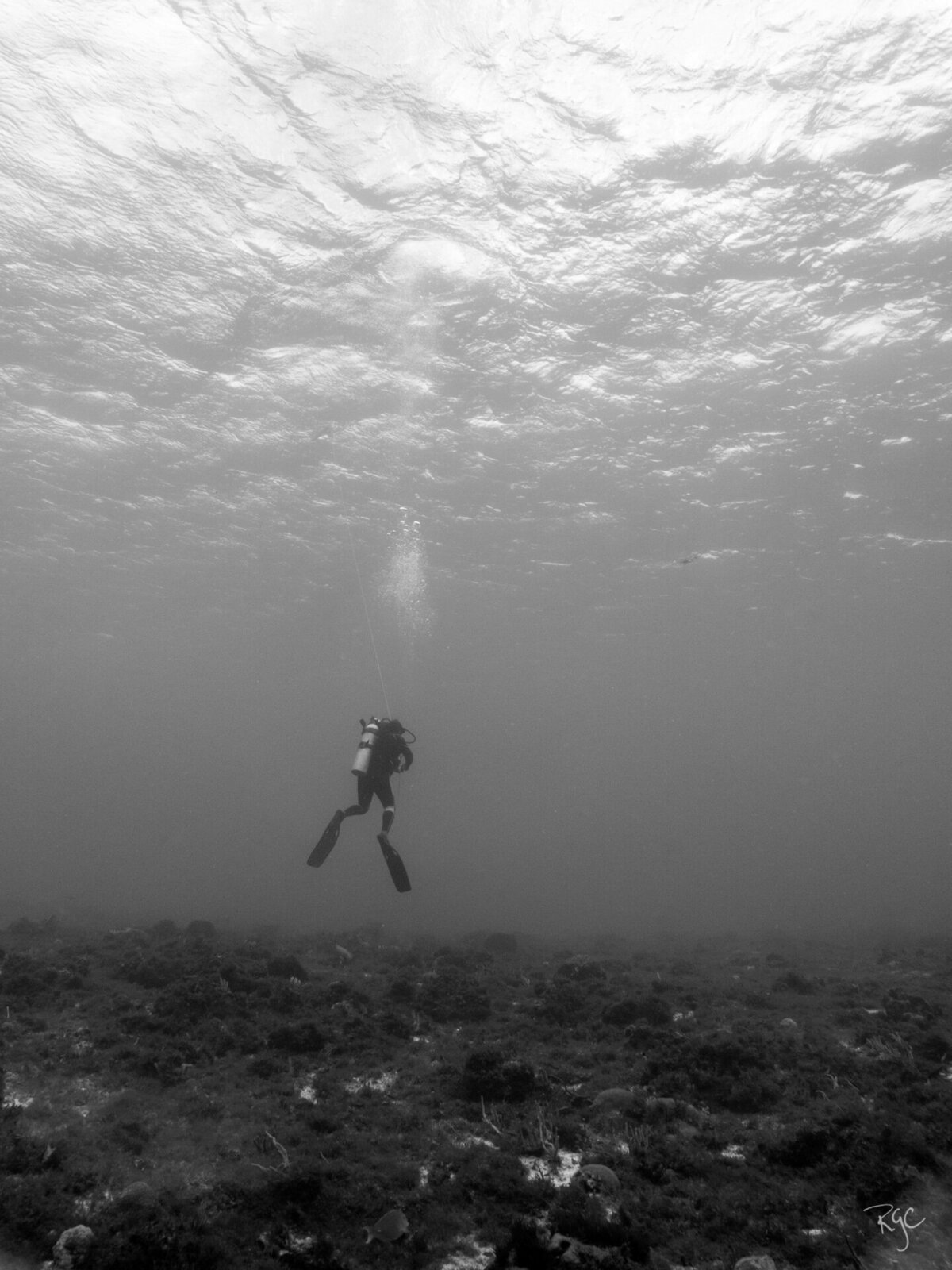 RGEORGE_2016_Cozumel_IMG_3063_0320