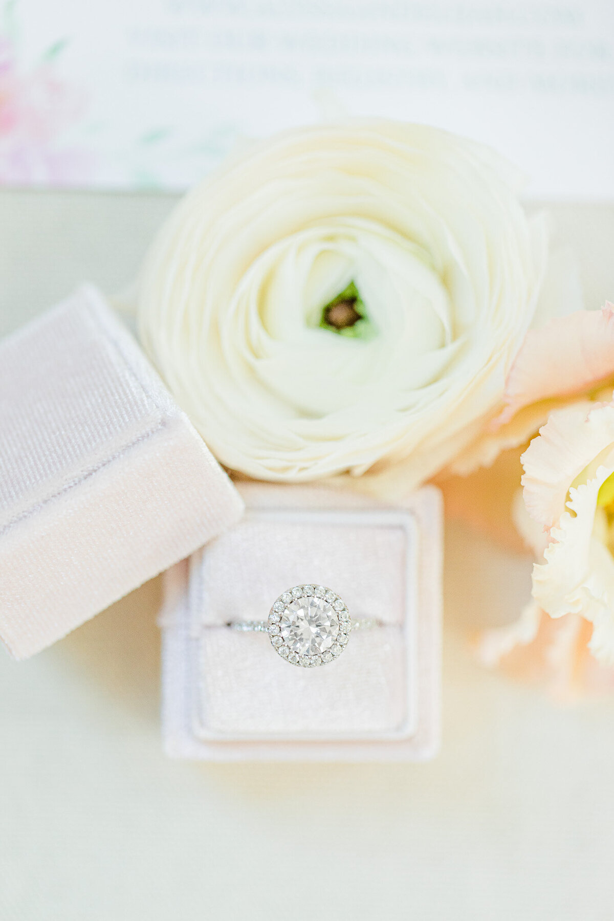 Gatlinburg Wedding Photographer