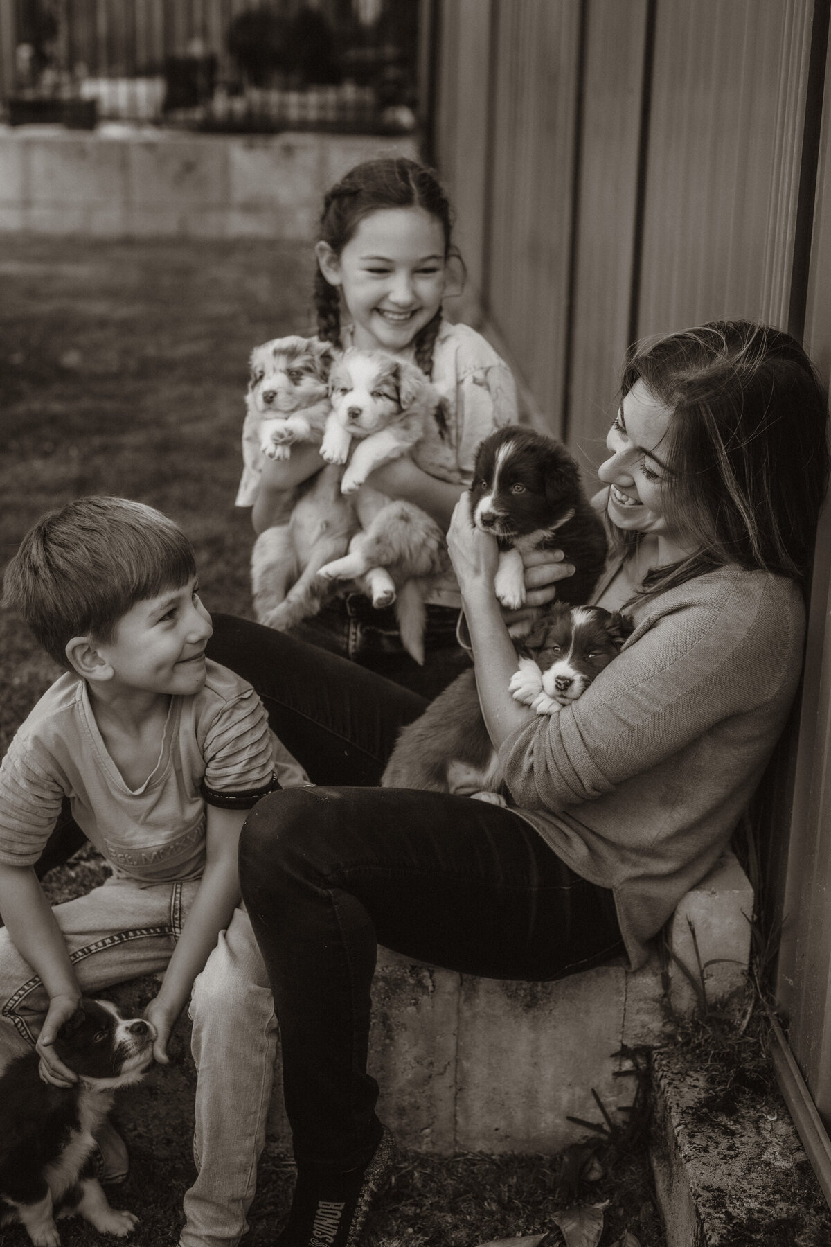 the-lifestyle-phodographer-perth-family-pet-photographer-litter00014