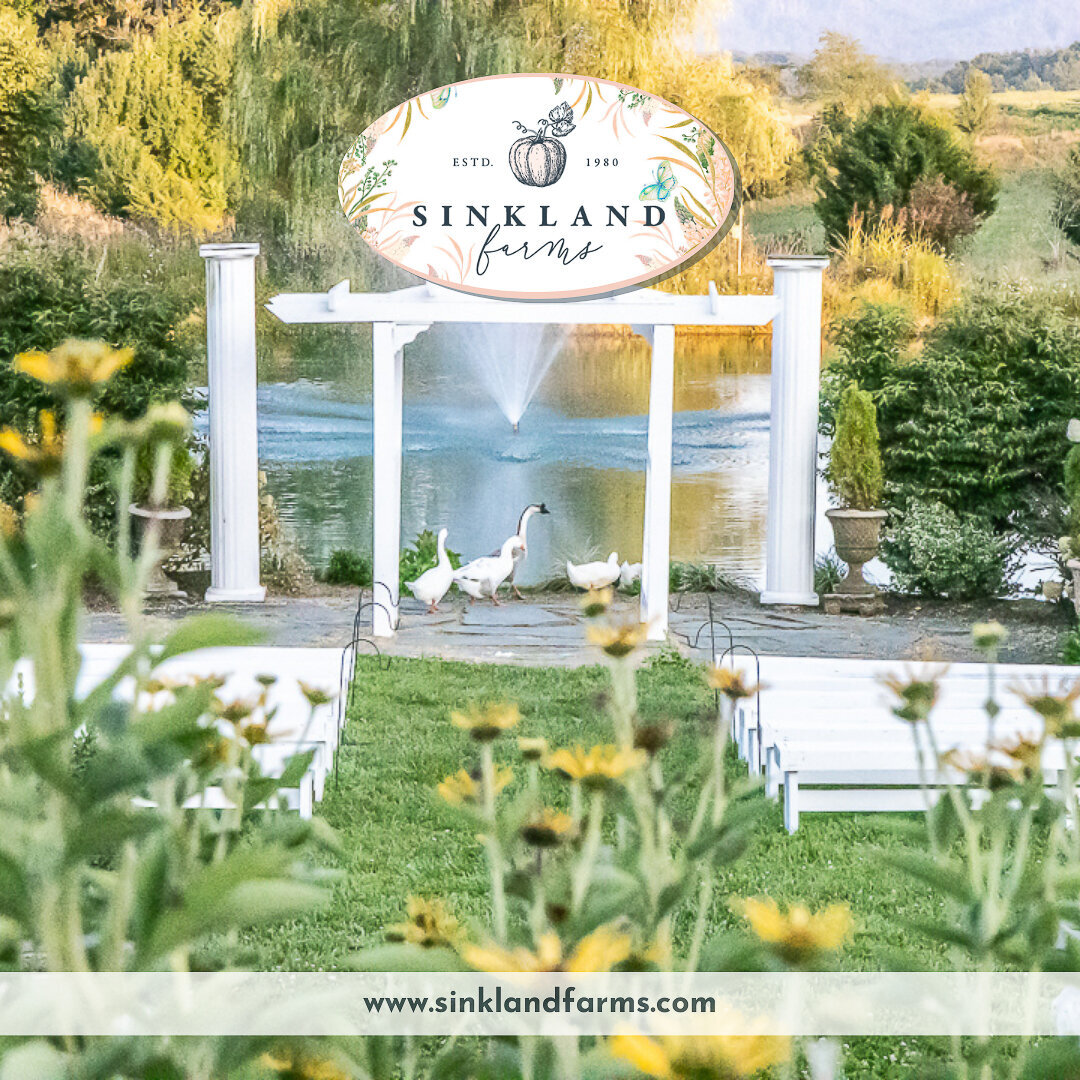 2024Ads-Wedding-Event-Venue-Entertaining_Sinkland-Farms--8