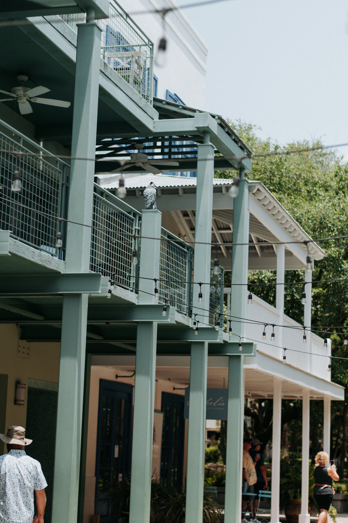 Express Heashots for Upload-10 3