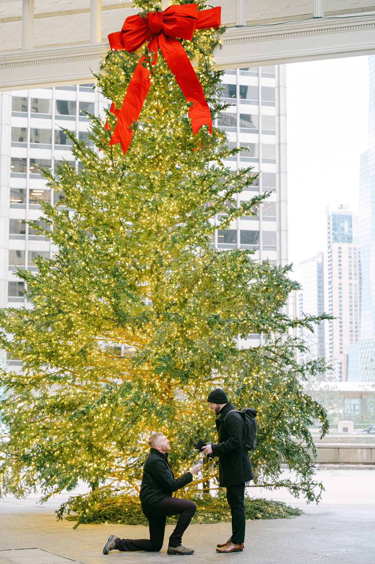 Chicago-engagement-photographer-13