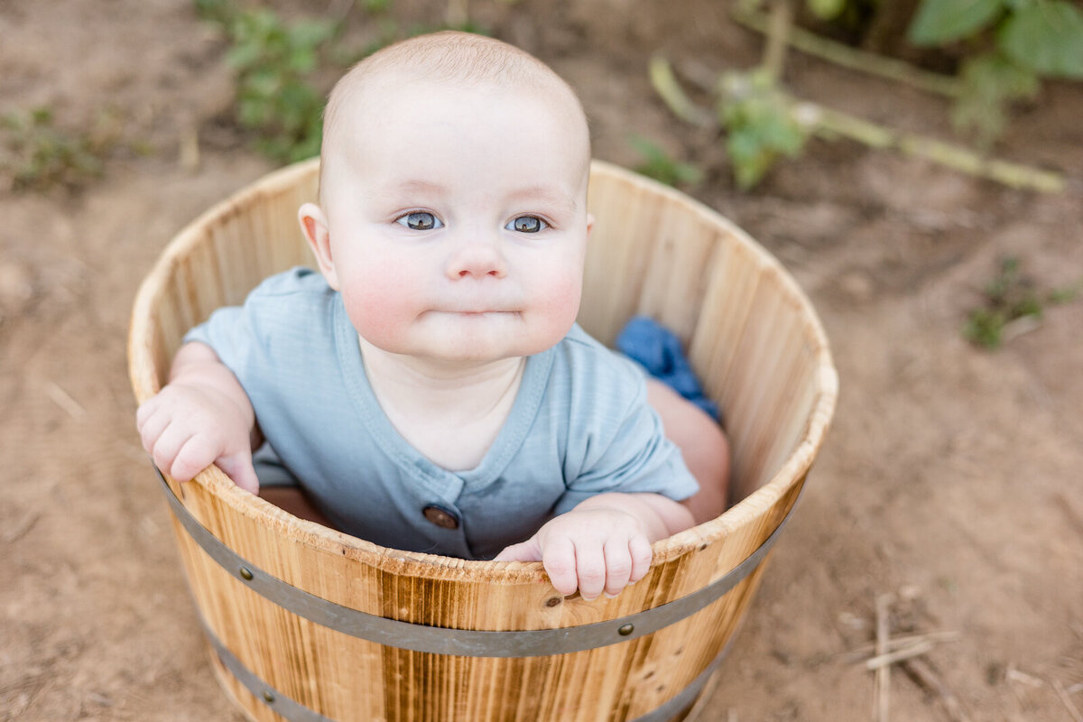 Outdoor_sunflower_sitter_photography_session_baby_boy_Georgetown_KY_photographer-3