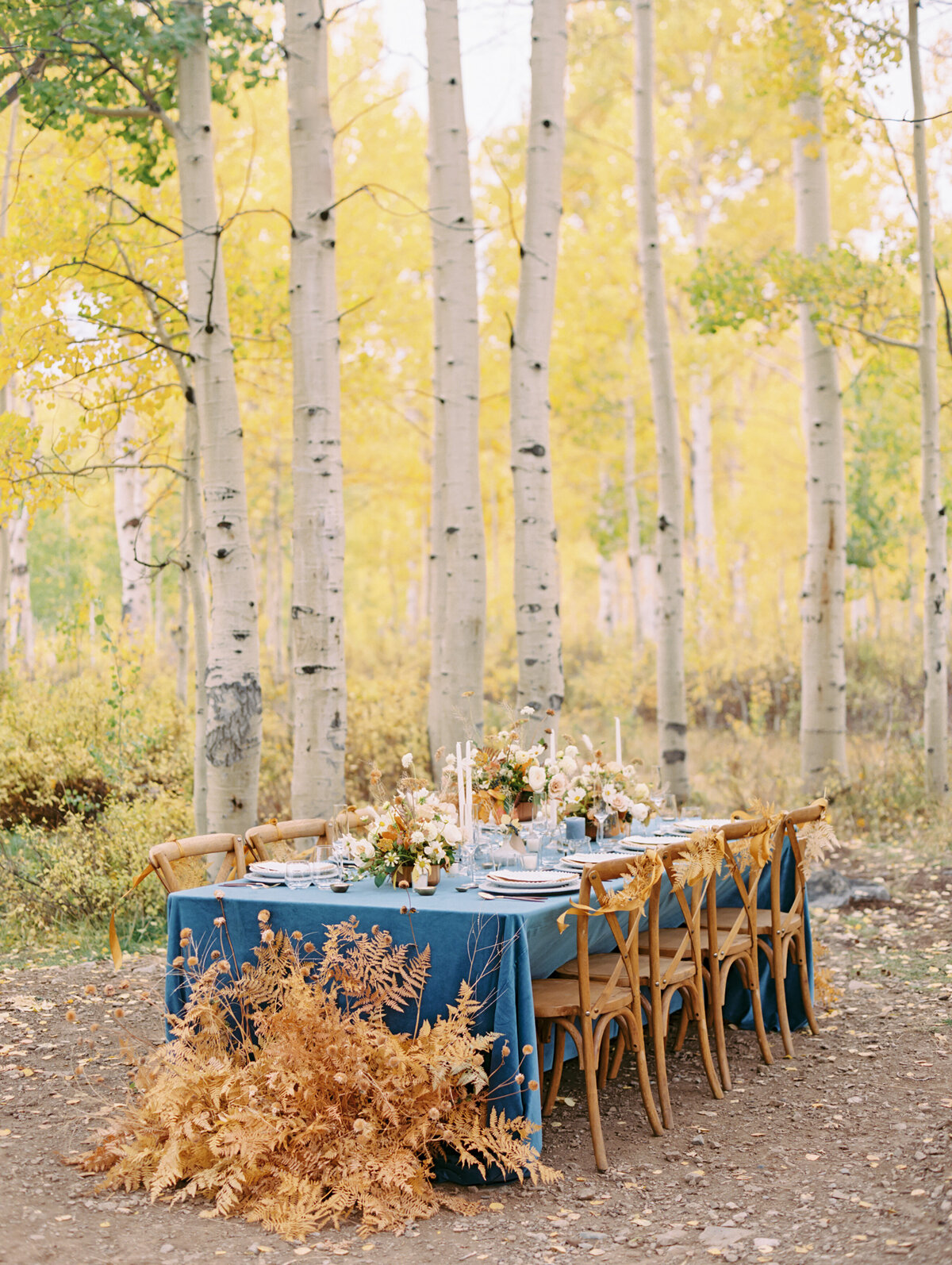 Wedding venue in nature photographed by Chicago editorial wedding photographer Arielle Peters