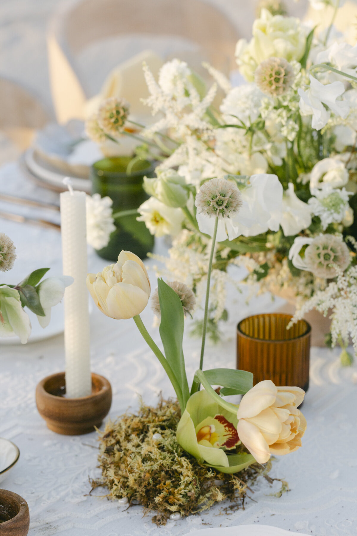 PERRUCCIPHOTO_HYBRID_5_146