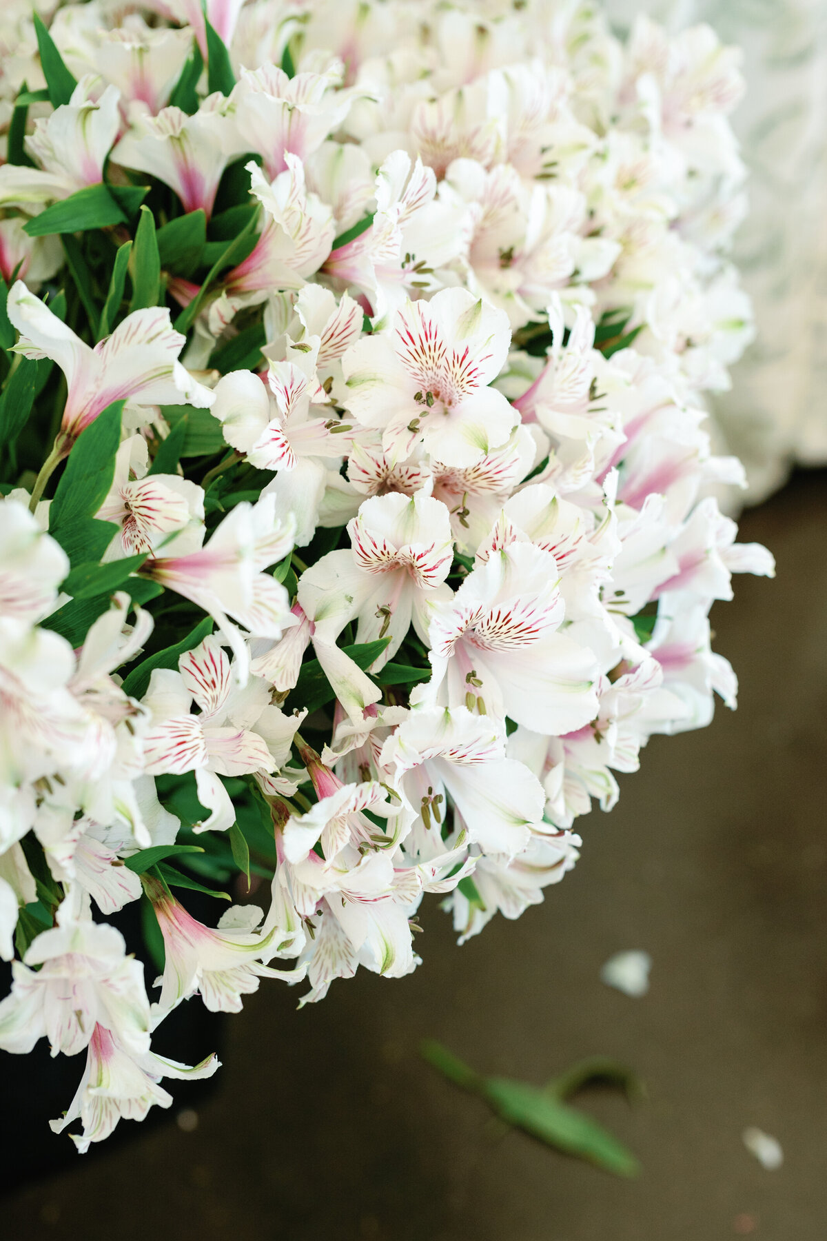 Intrigue Across America - Donovan Manor - Raleigh North Carolina - Alaina René Photography-9