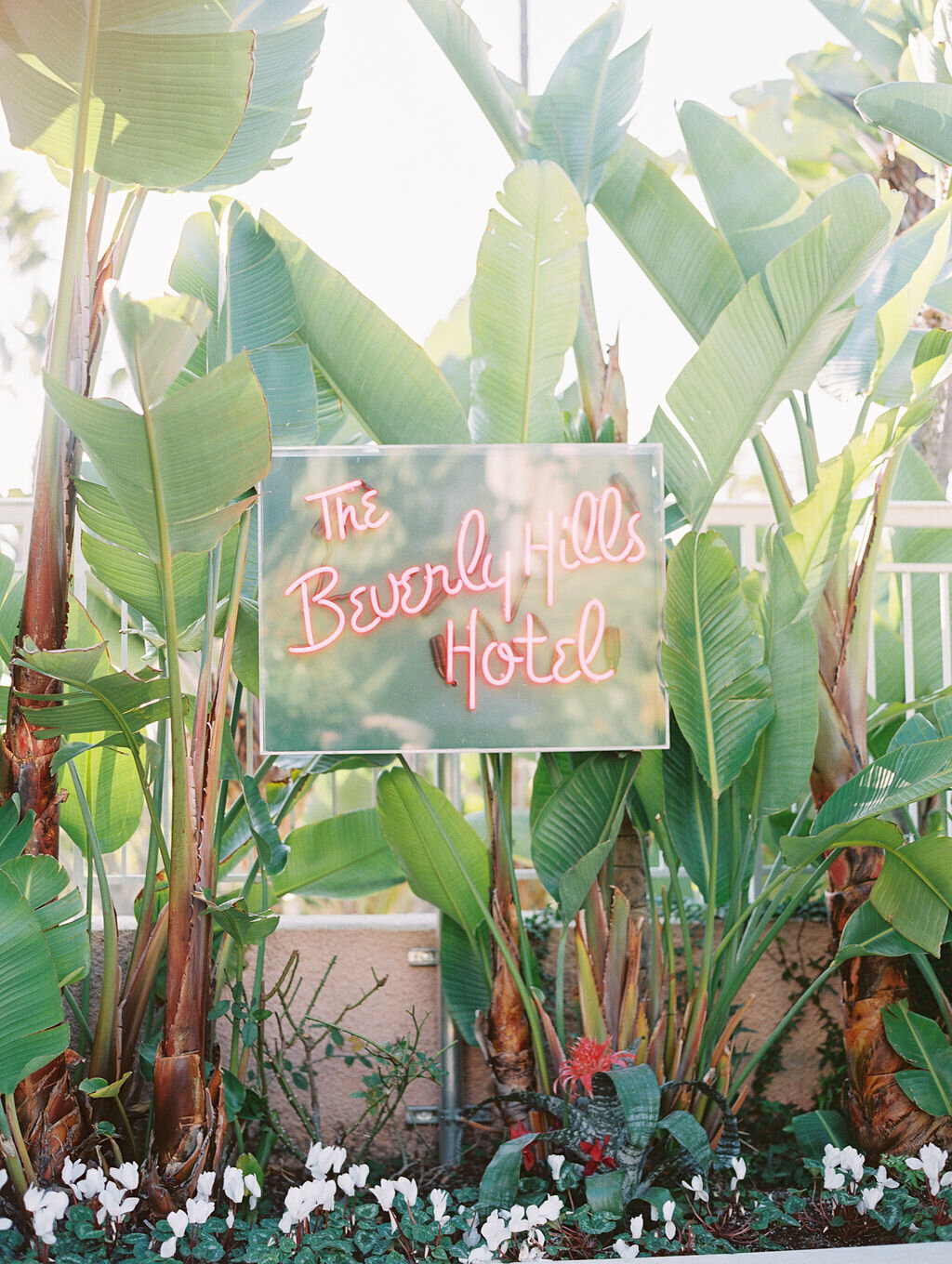 Amy-Golding-Photography-Wedding-Beverly-Hills-Hotel-Couture-Events-2020-Film-33