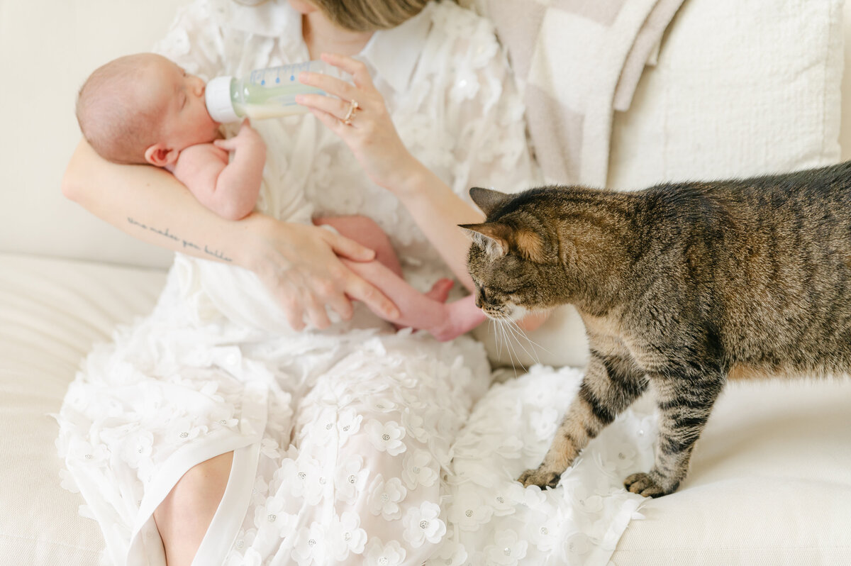 PJPhotography_Depanfilis, Karli-163