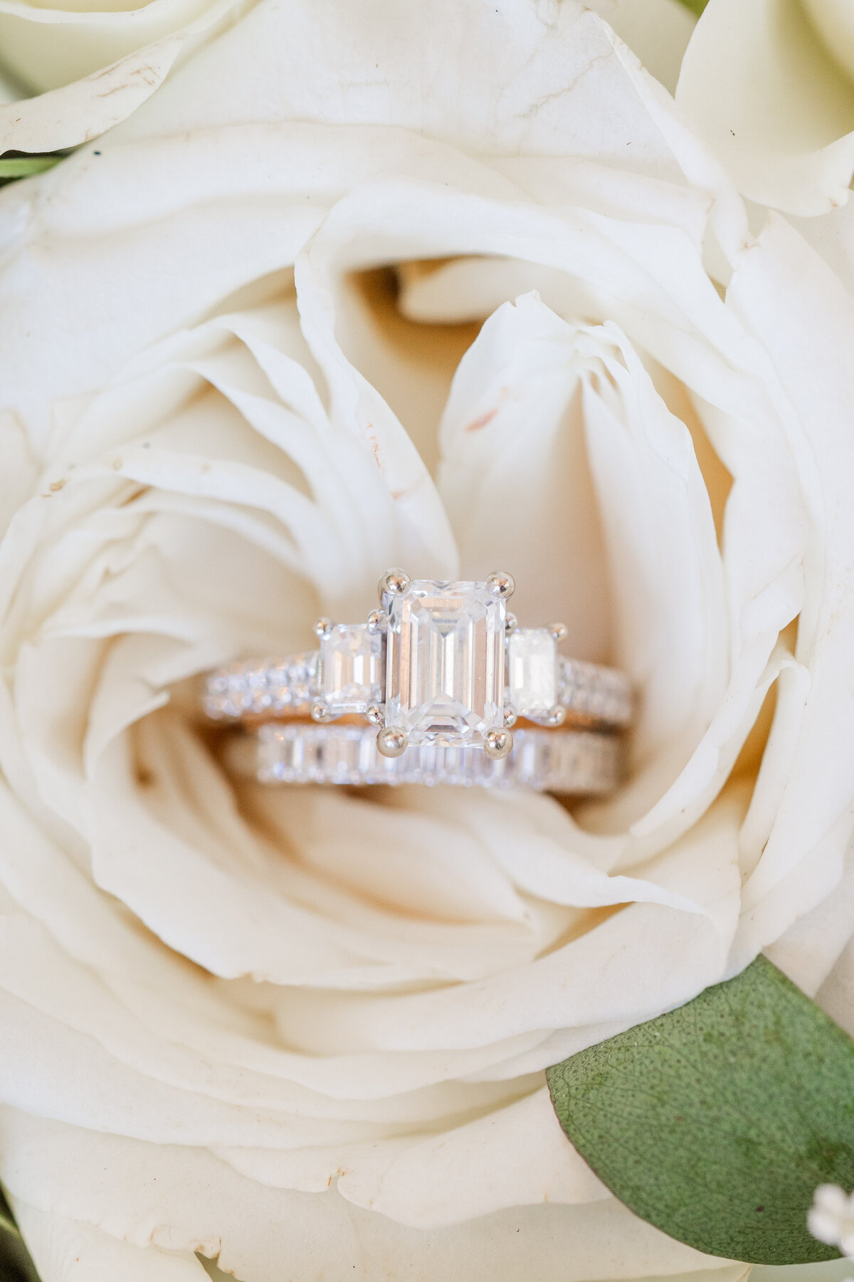 Ariels-wedding-and-engagement-rings-in-a-white-rose