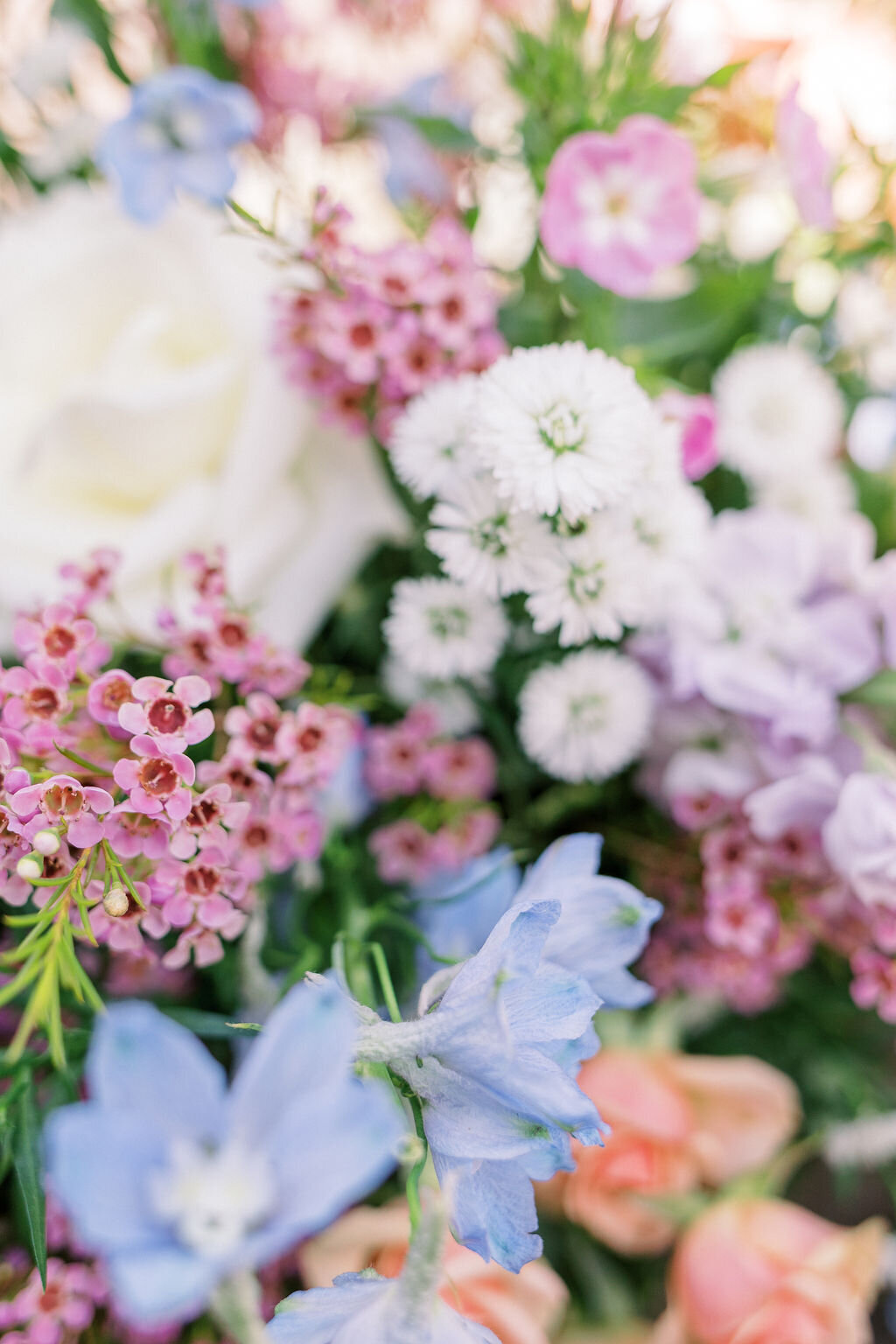 FrancescaDominiquePhotography-55