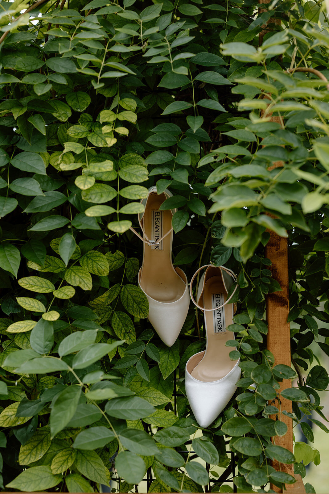 cedarburg-wisconsin-wedding-6