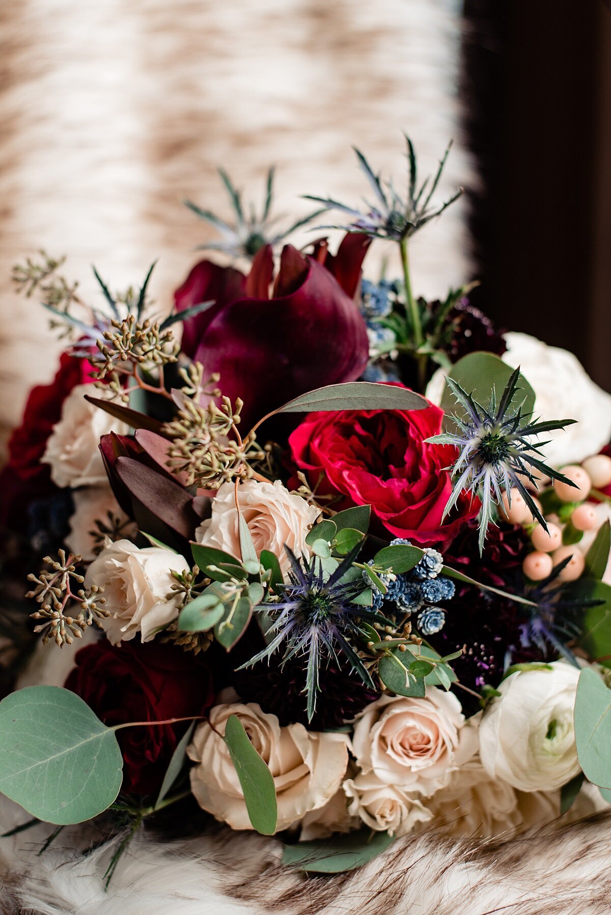 Winter wedding bouquet with red peonies, white roses, blue thistle, red roses, burgundy protea, seeded eucalyptus and silver dollar eucalyptus.