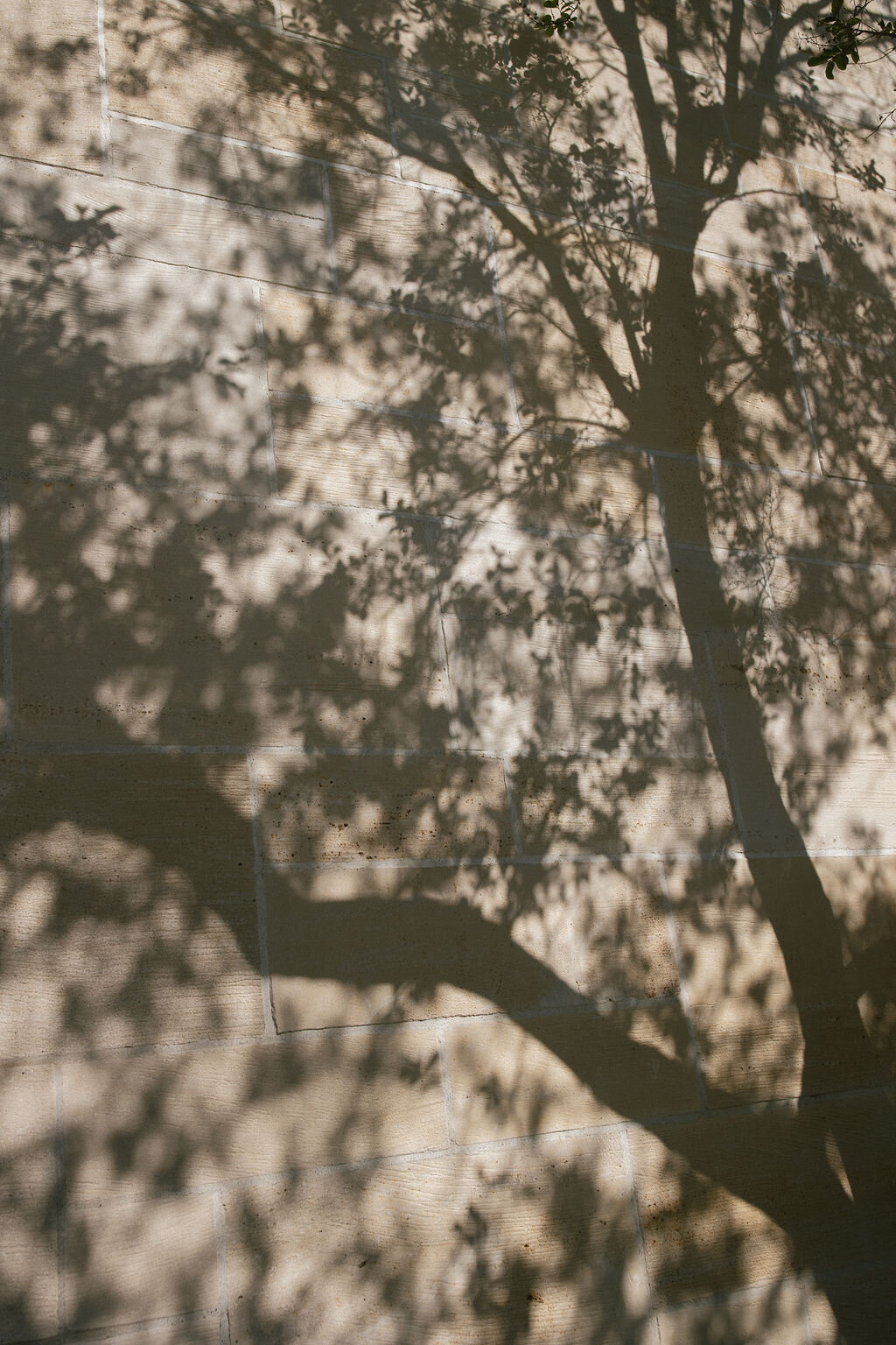AnyaKernes_Tanicha&Tyler_teasers-47