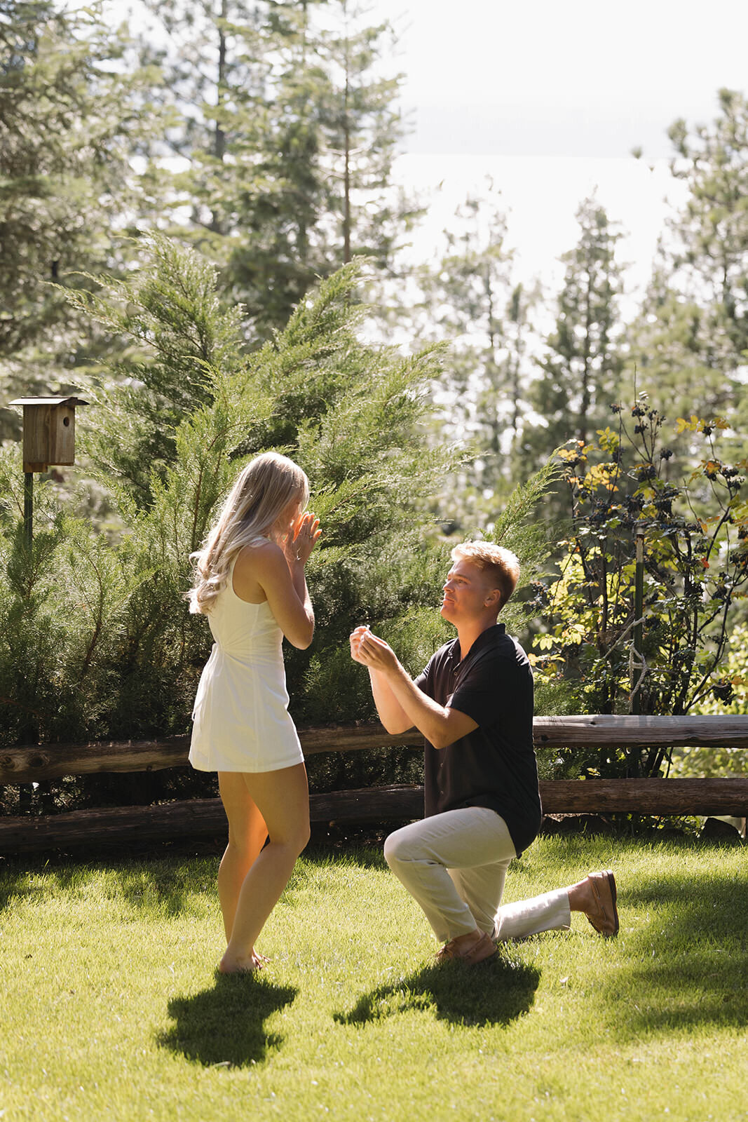 Man proposing on one knee among tall pines