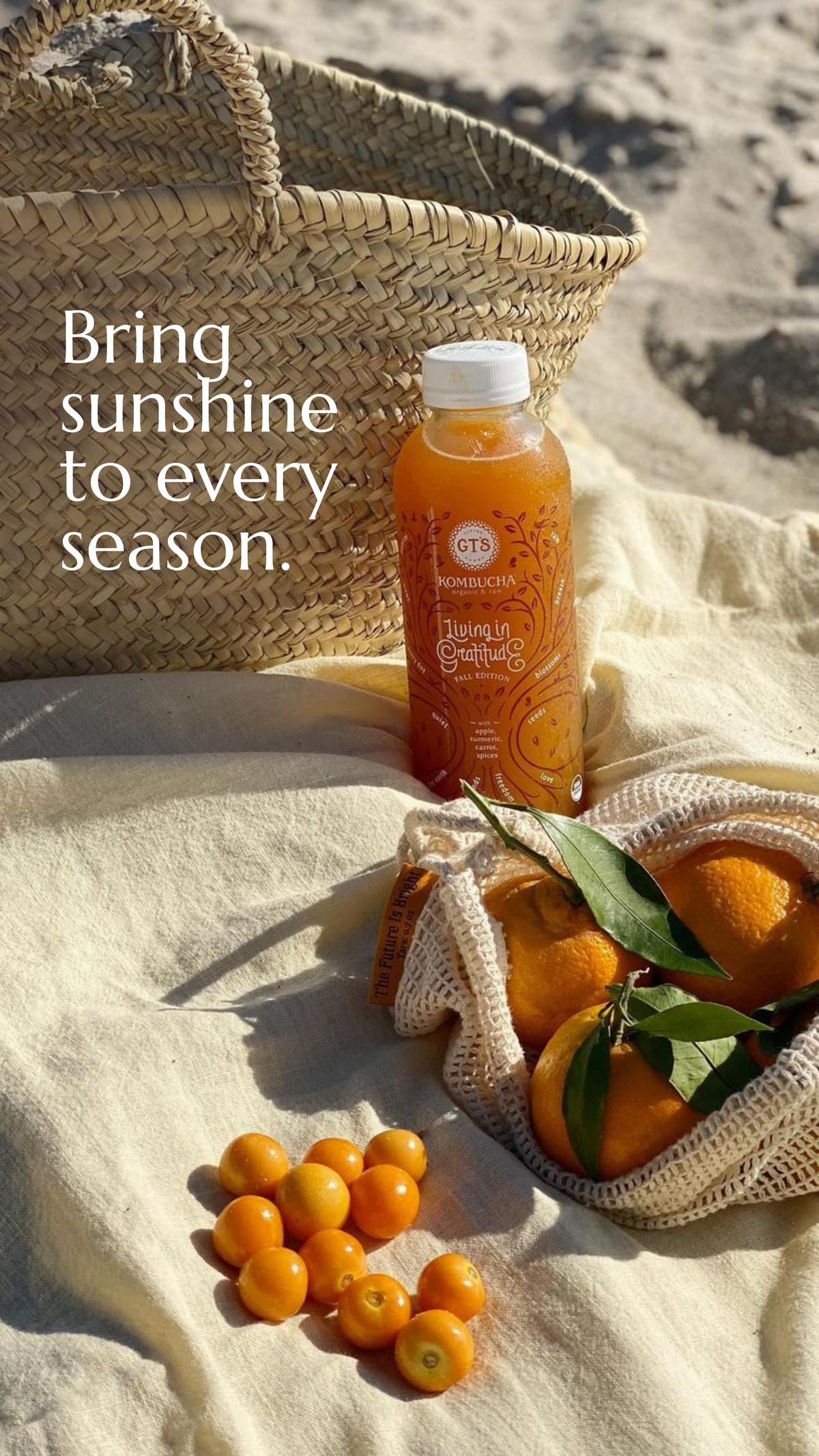 Sunshine Series Pinterest Pin 1