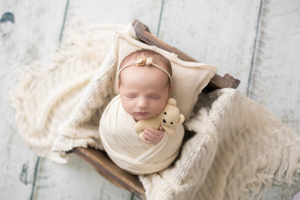 Newborn Portraits