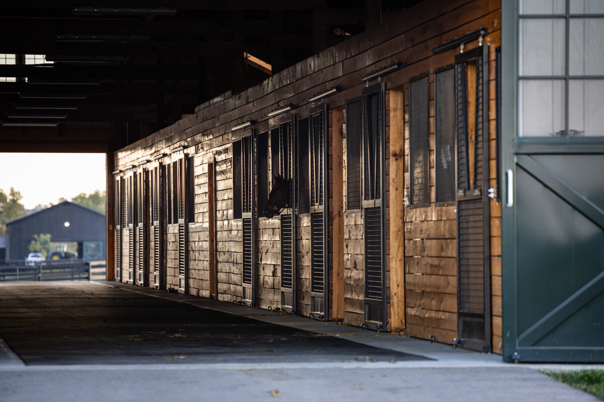 A horse barn alleyway with a horse looking out a stall door.