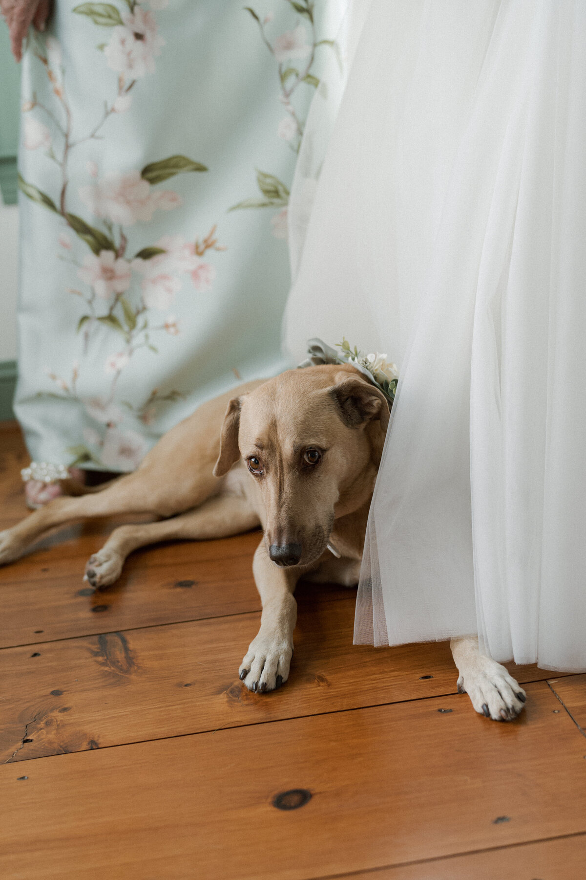 Grace & Ardor Co. East Coast Wedding Engagement Photography Pennsylvania New York City New Jersey Timeless Bold Art Direction Editorial Erin McGeever21