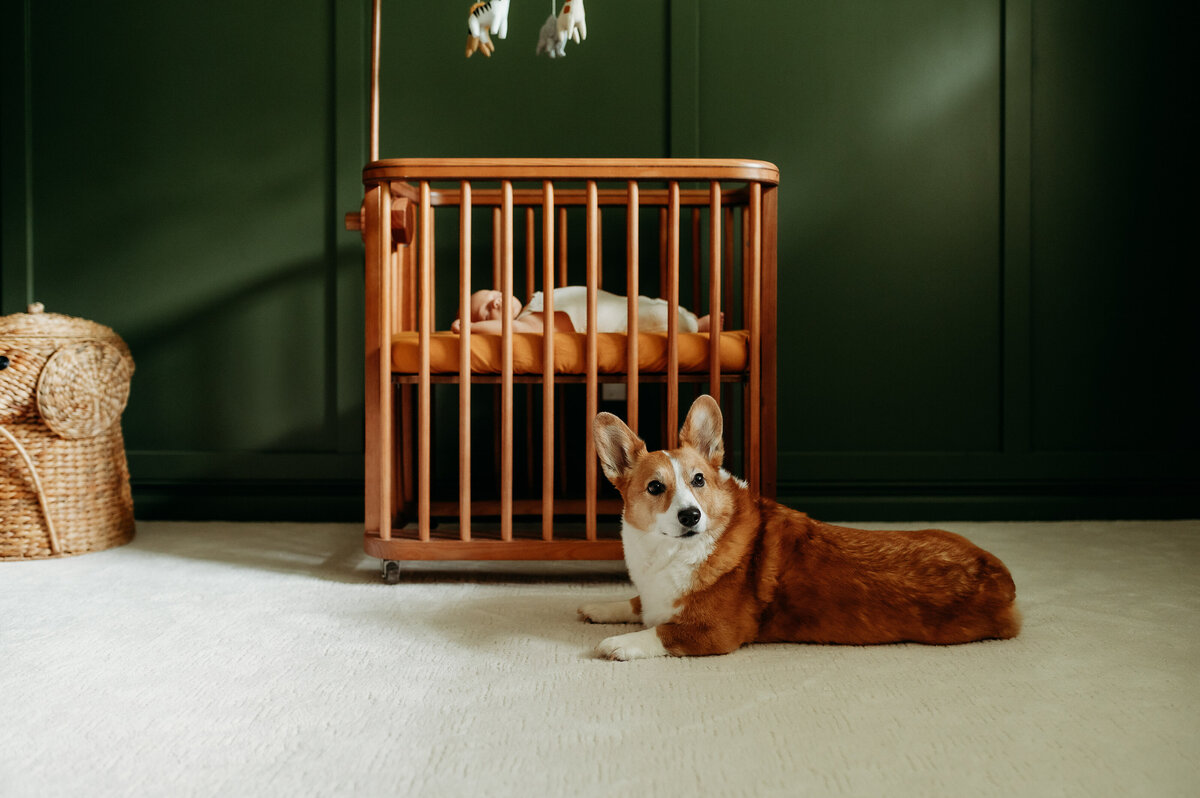 A luxury newborn photography session in Timonium, capturing delicate details and peaceful moments in soft, natural light.
