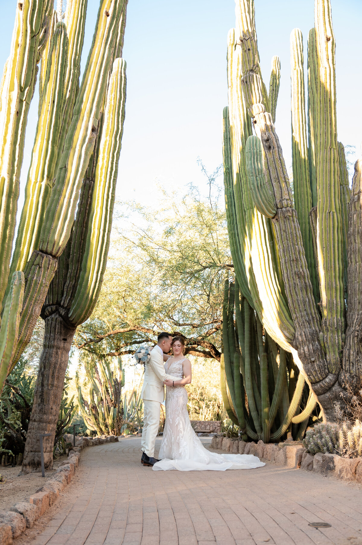 Desert Daisy Events7