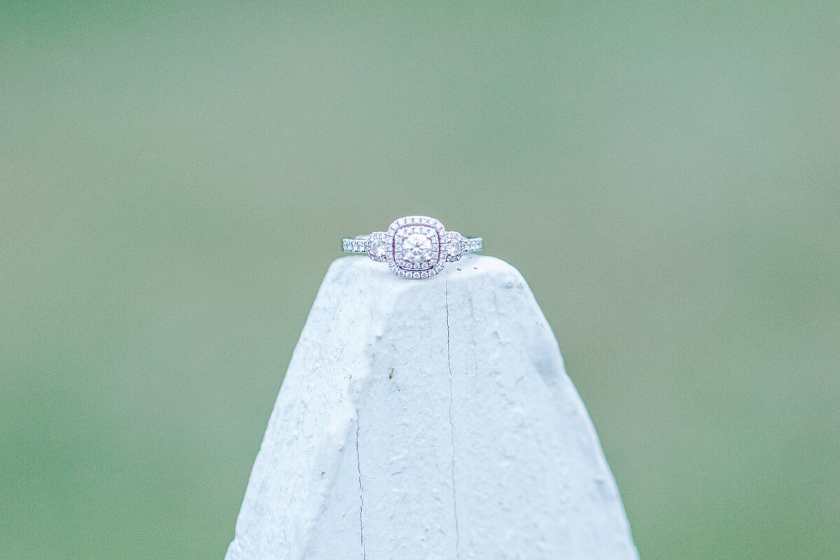 engagement gallery-224